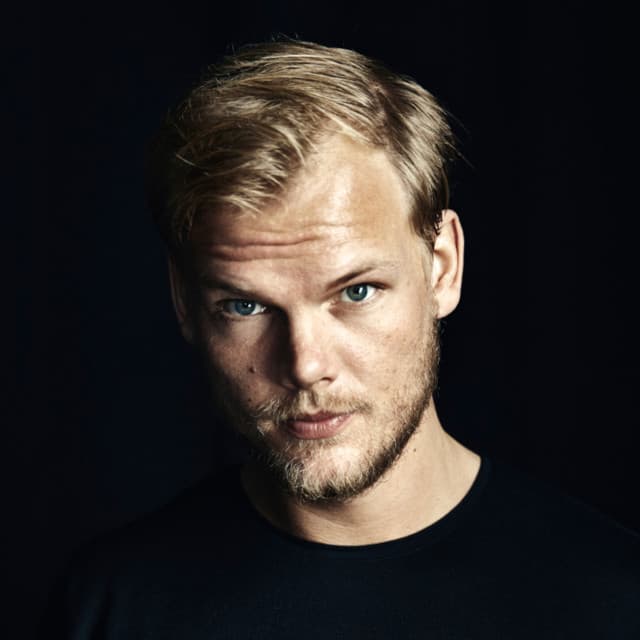 Photo of album art for the song Avicii